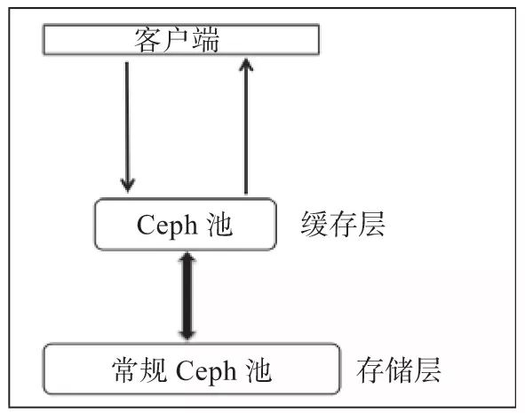 ceph10